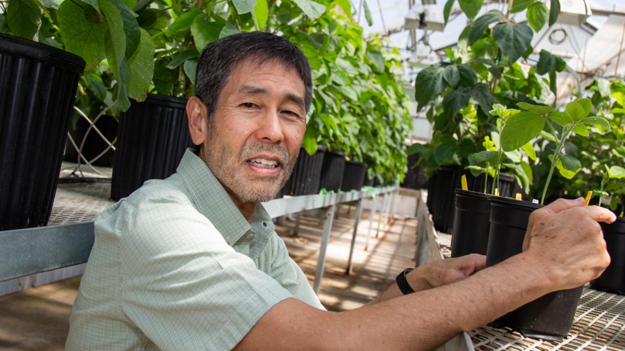 John Harada in greenhouse