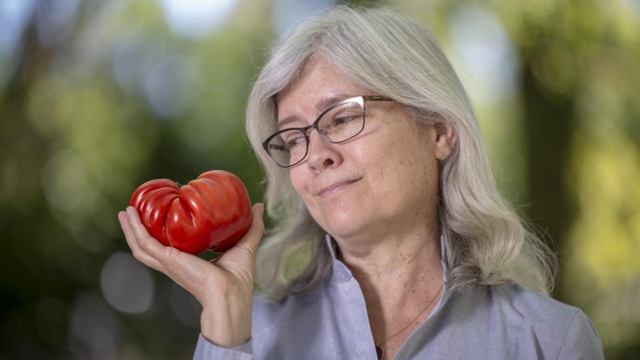 Britt and tomato